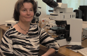 A still from video explaining research of Nora Noffke